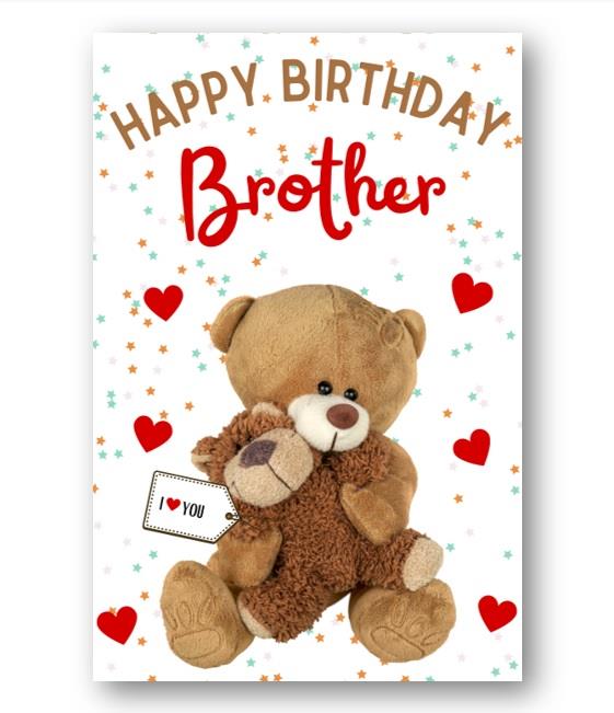 Second Ave Brother I Love You Bear Cute Happy Birthday Card Greetings Card