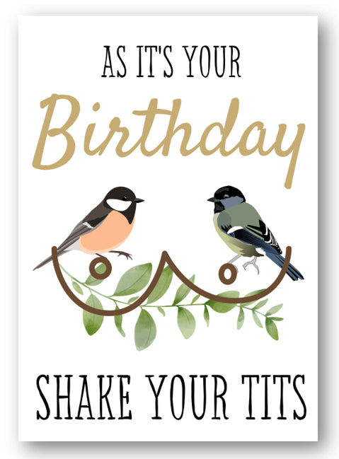 Second Ave Funny Shake Your Tits Joke Happy Birthday Card