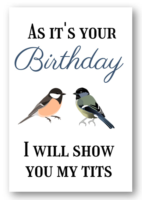 Second Ave Funny Show You My Tits Joke Happy Birthday Card