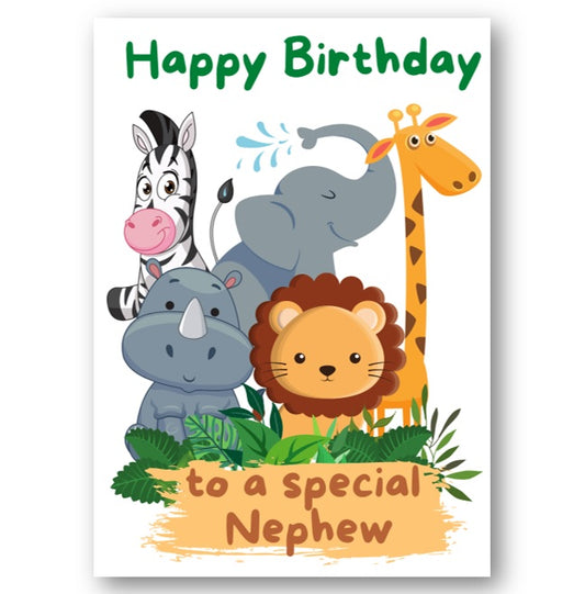 Second Ave Nephew Children's Kids Birthday Card For Him Greetings Card