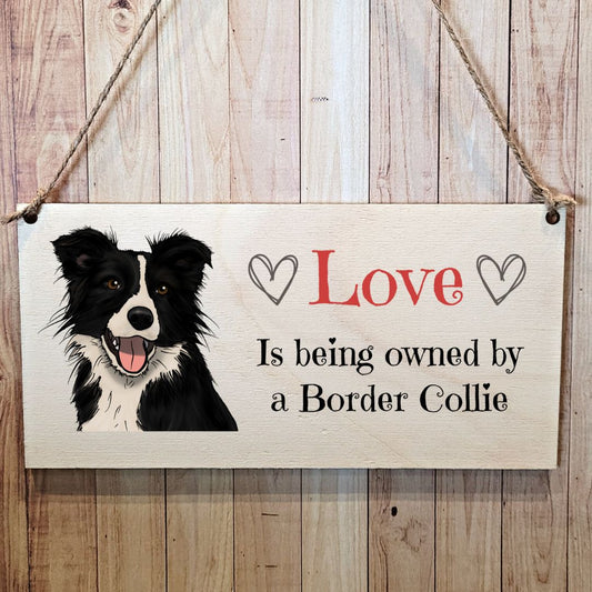 Second Ave Border Collie Dog Wooden Hanging Gift Rectangle Home Sign Plaque