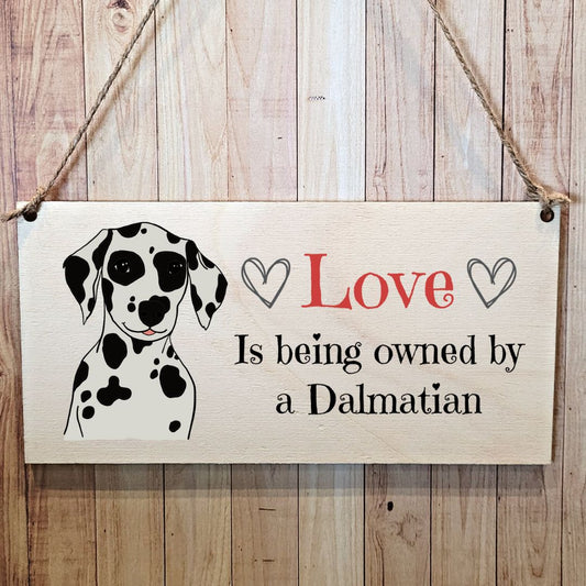 Second Ave Dalmatian Dog Wooden Hanging Gift Rectangle Home Sign Plaque