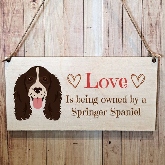 Second Ave Springer Spaniel Dog Wooden Hanging Gift Rectangle Home Sign Plaque