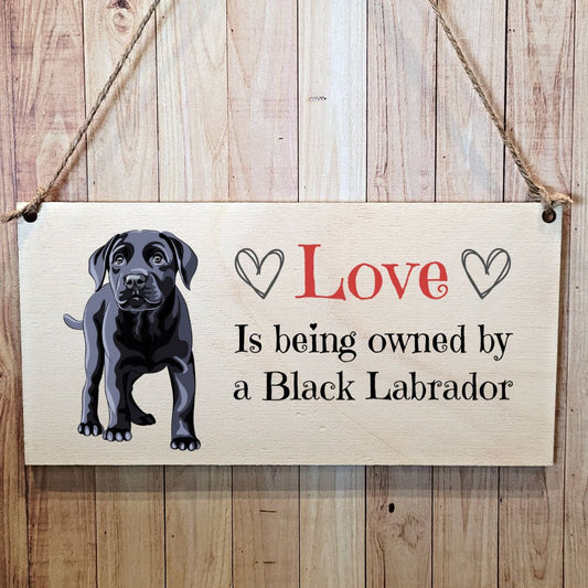 Second Ave Black Labrador Dog Wooden Hanging Gift Rectangle Home Sign Plaque