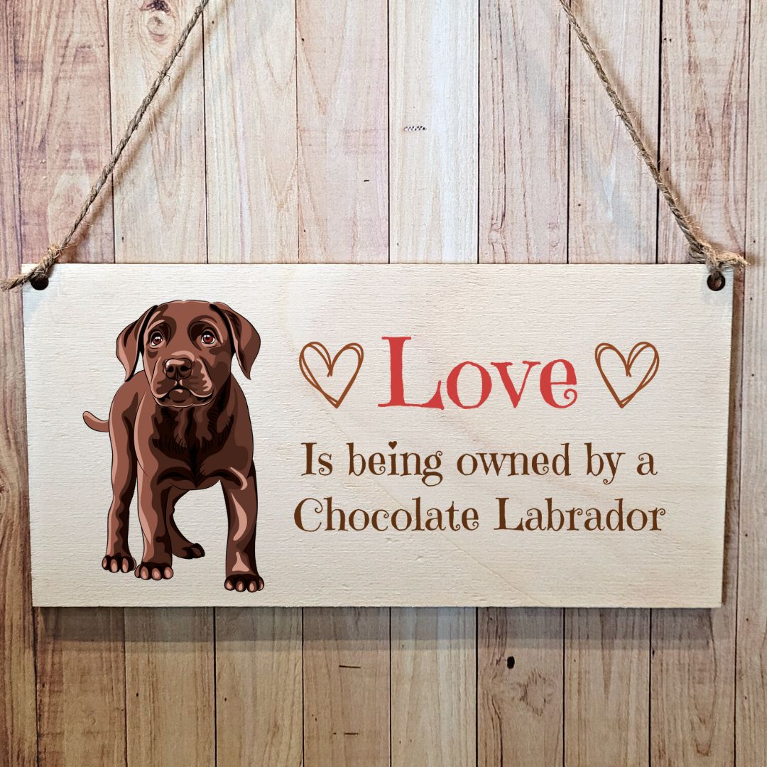 Second Ave Chocolate Labrador Dog Wooden Hanging Gift Rectangle Home Sign Plaque