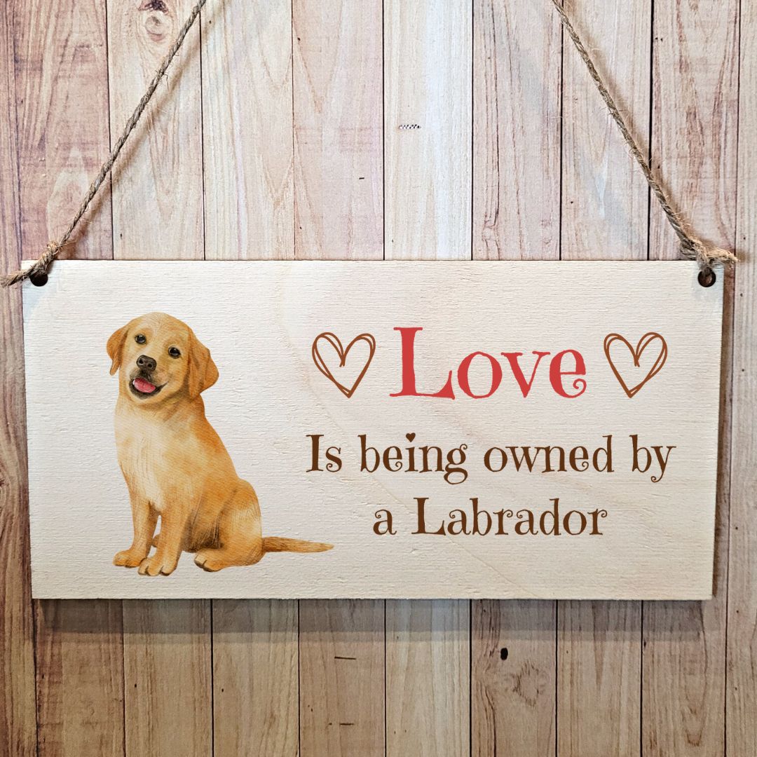 Second Ave Labrador Dog Wooden Hanging Gift Rectangle Home Sign Plaque